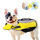 Airbag Inflatable Folding Dog Safety Swimming Suit